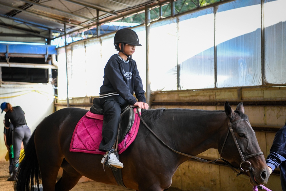 Volunteer Day at Grace Stables Korea