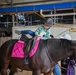 Volunteer Day at Grace Stables Korea