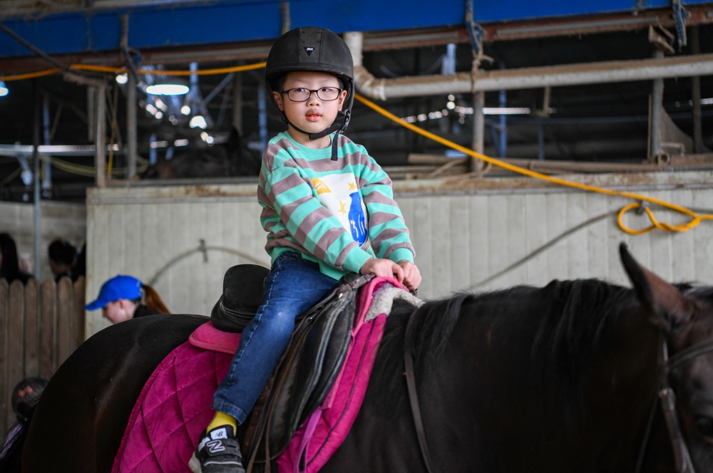 Volunteer Day at Grace Stables Korea