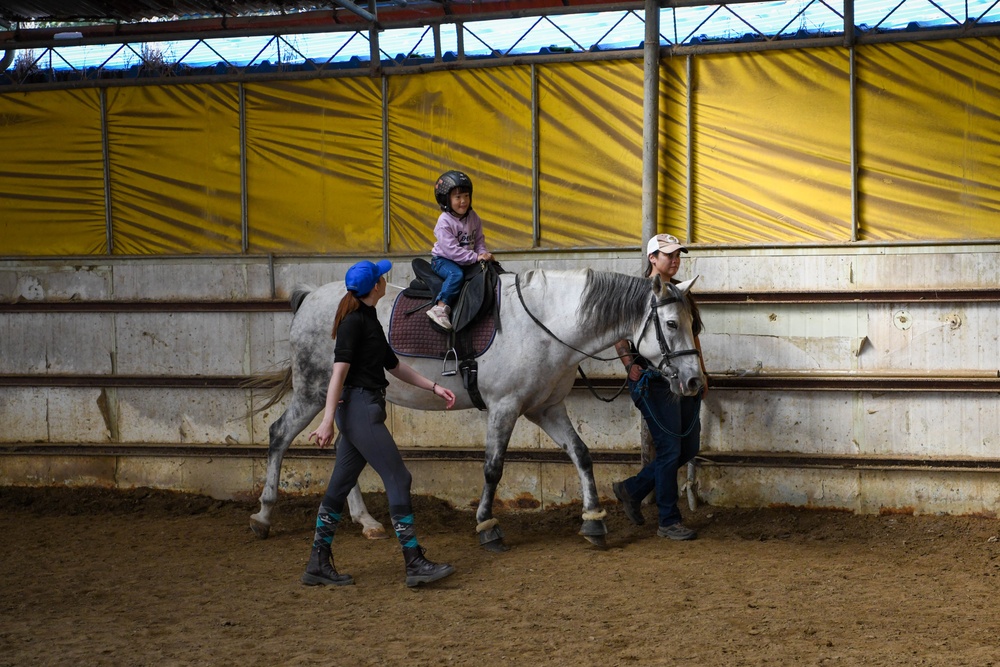 Volunteer Day at Grace Stables Korea