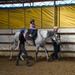 Volunteer Day at Grace Stables Korea