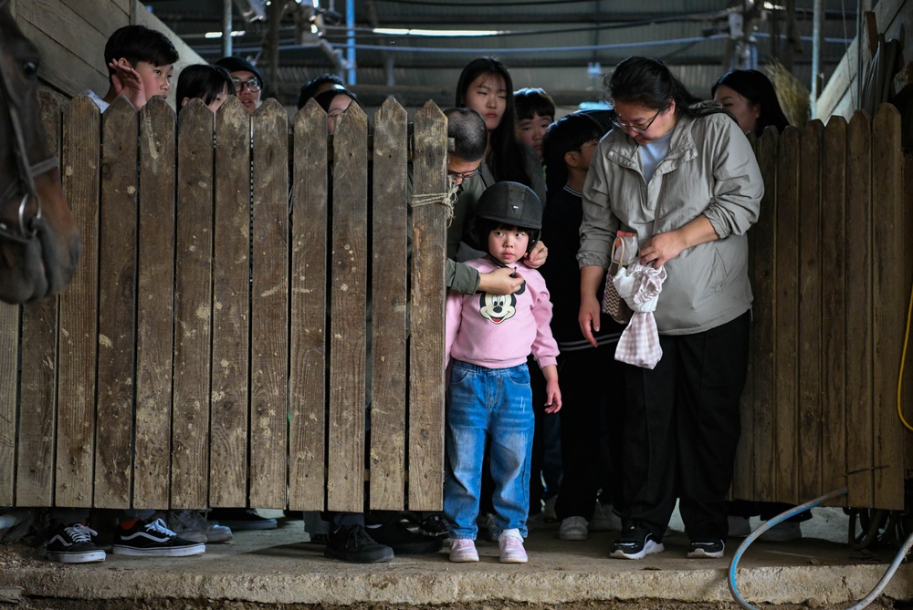 Volunteer Day at Grace Stables Korea