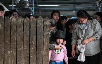 Volunteer Day at Grace Stables Korea