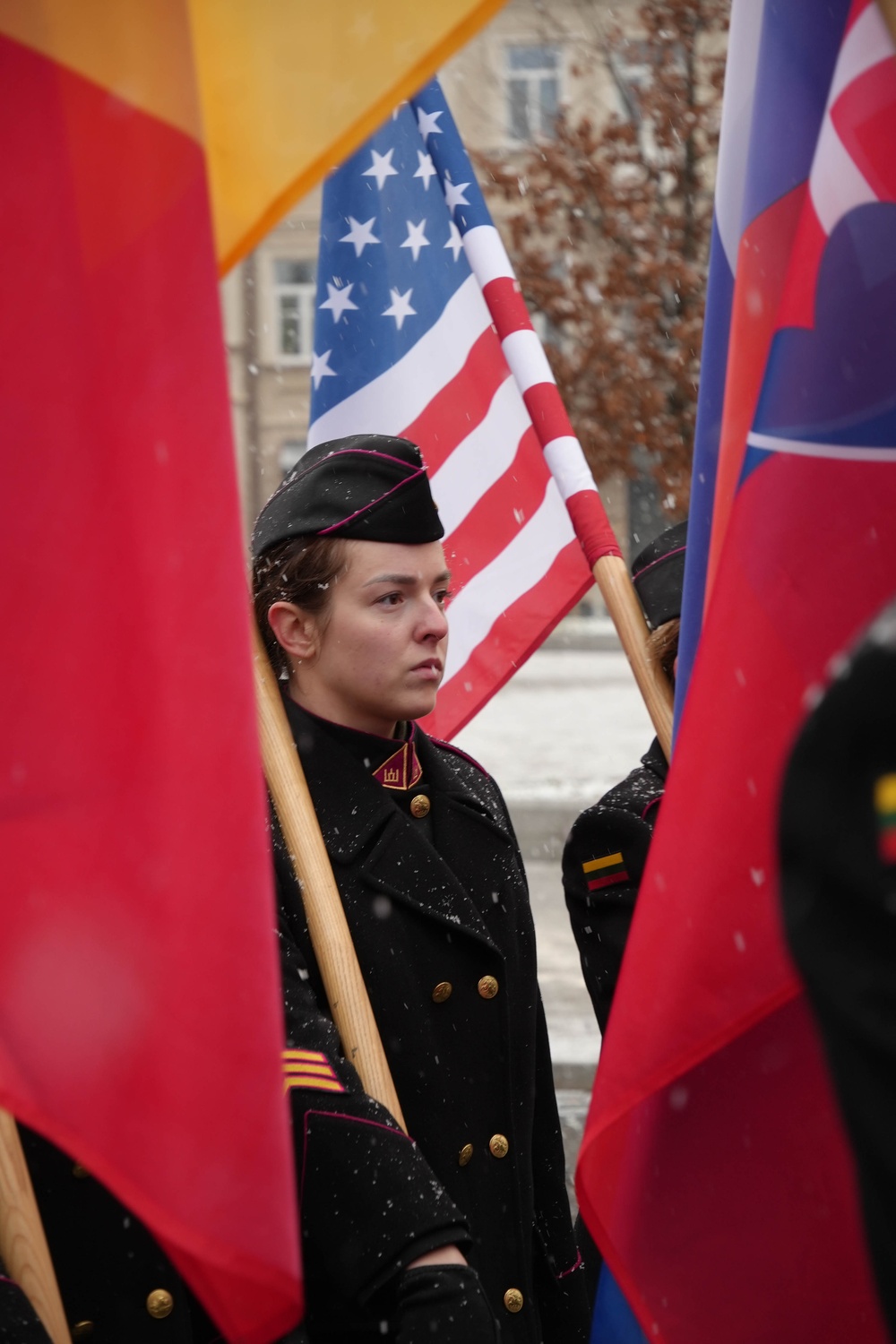 Parade celebrates 20 years in NATO, restoration of the Lithuanian Armed Forces.