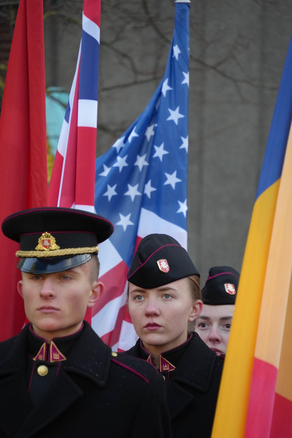 Parade celebrates 20 years in NATO, restoration of the Lithuanian Armed Forces.