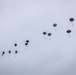 Paratroopers from the 173rd Airborne Brigade conduct a routine jump in Aviano
