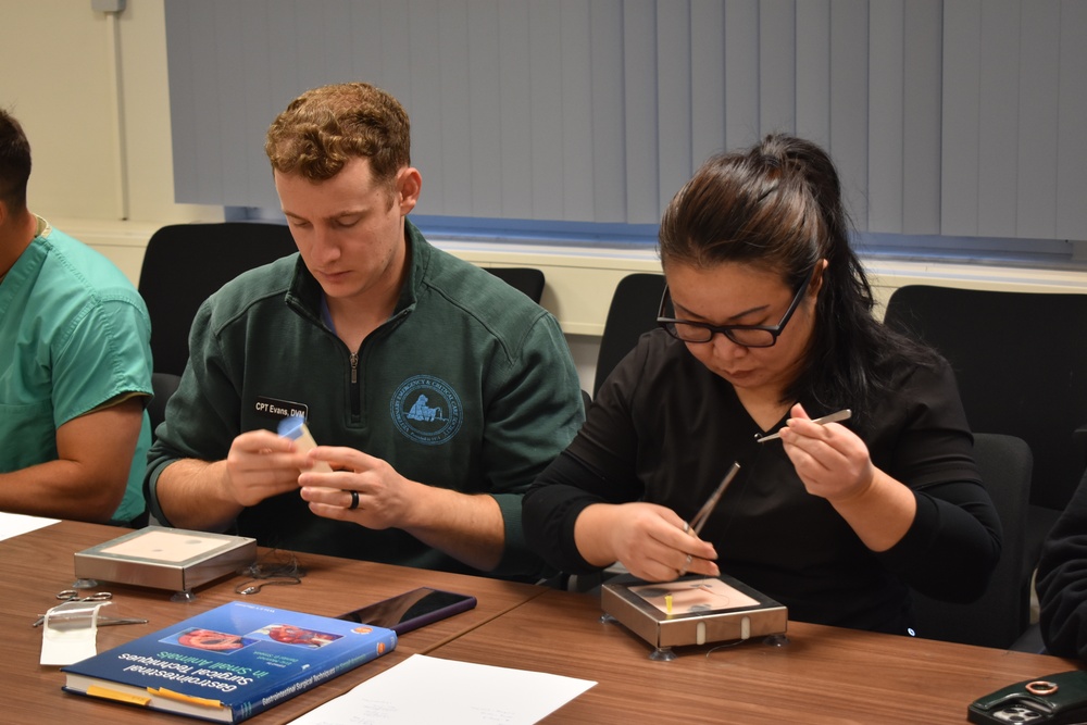 Two veterinarians from Veterinary Readiness Activity, Rheinland Pfalz practicing sutures