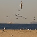 Combat System Check, Training on Tap as USS Canberra (LCS 30) Visits Naval Surface Warfare Center, Port Hueneme Division