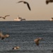 Combat System Check, Training on Tap as USS Canberra (LCS 30) Visits Naval Surface Warfare Center, Port Hueneme Division