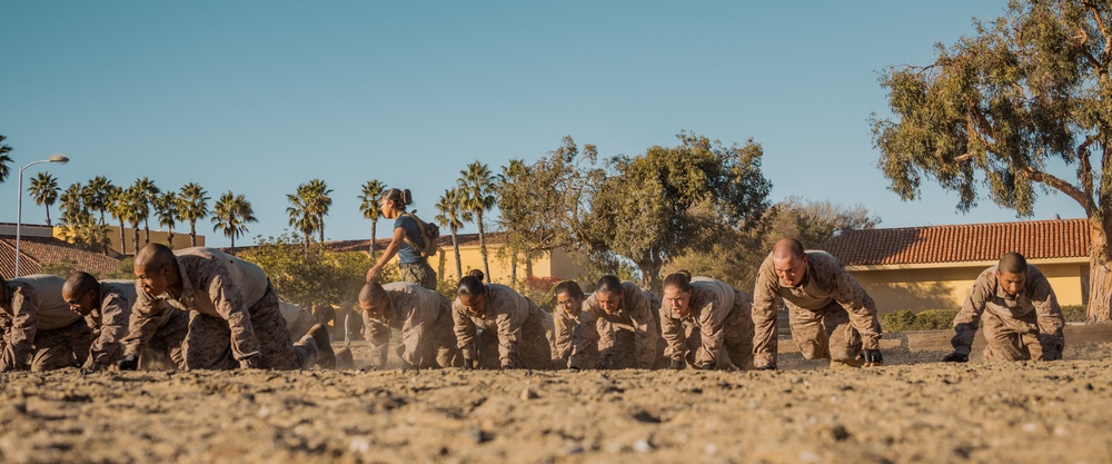Lima Company Combat Conditioning Course