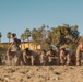 Lima Company Combat Conditioning Course
