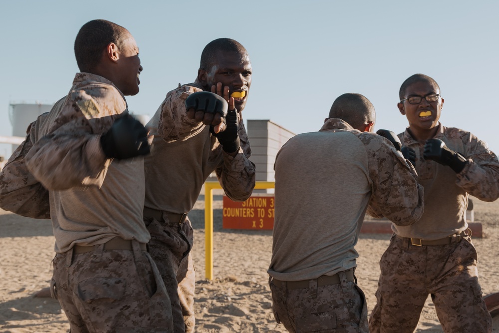 Lima Company Combat Conditioning Course