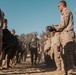 Lima Company Combat Conditioning Course