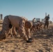 Lima Company Combat Conditioning Course