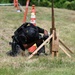 36th Wing hosts inaugural Battle of the Branches shooting competition