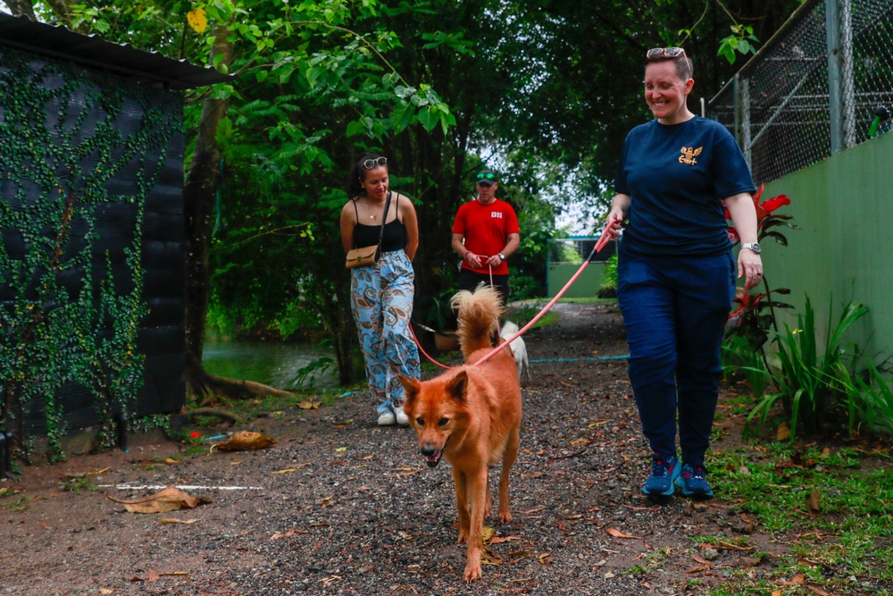 USS Michael Murphy and USS Spruance Sailors volunteer at Soi Dog Foundation