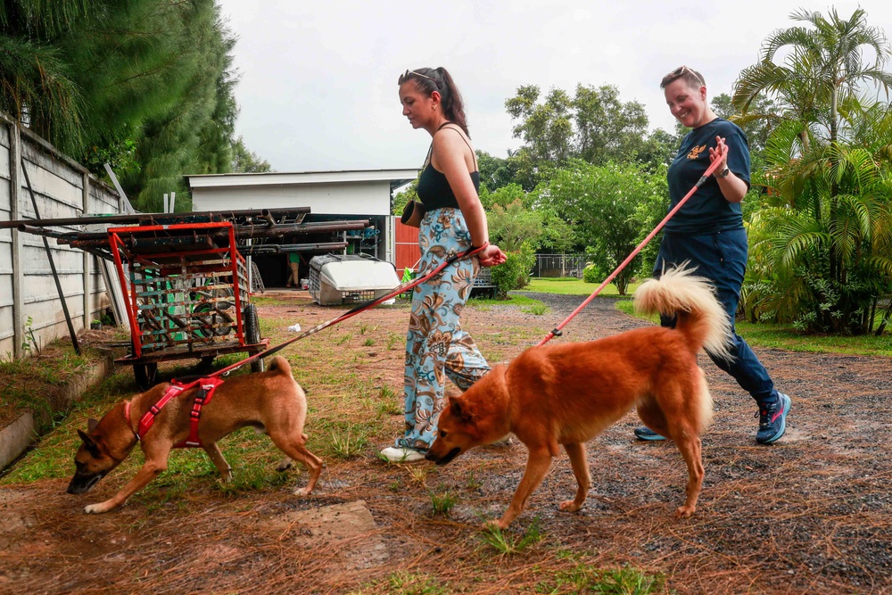 USS Michael Murphy and USS Spruance Sailors volunteer at Soi Dog Foundation