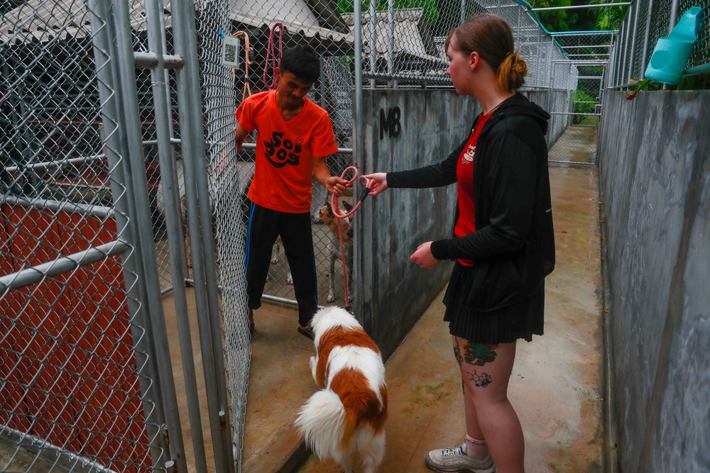 USS Michael Murphy and USS Spruance Sailors volunteer at Soi Dog Foundation