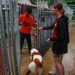 USS Michael Murphy and USS Spruance Sailors volunteer at Soi Dog Foundation