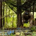 U.S. Army Soldiers from 5th SFG(A), 7th SFG(A), and 101st ABN DIV(ASSLT) Joint CBRN Training