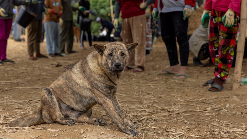 DPAA Conducts a Recovery Mission in the Lao People’s Democratic Republic