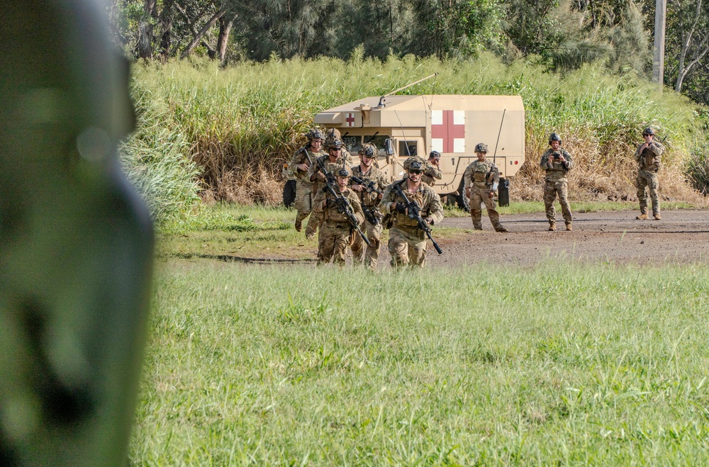 3-25 AVN Soldiers provide 2-27 Wolfhounds with cover-fire, transport