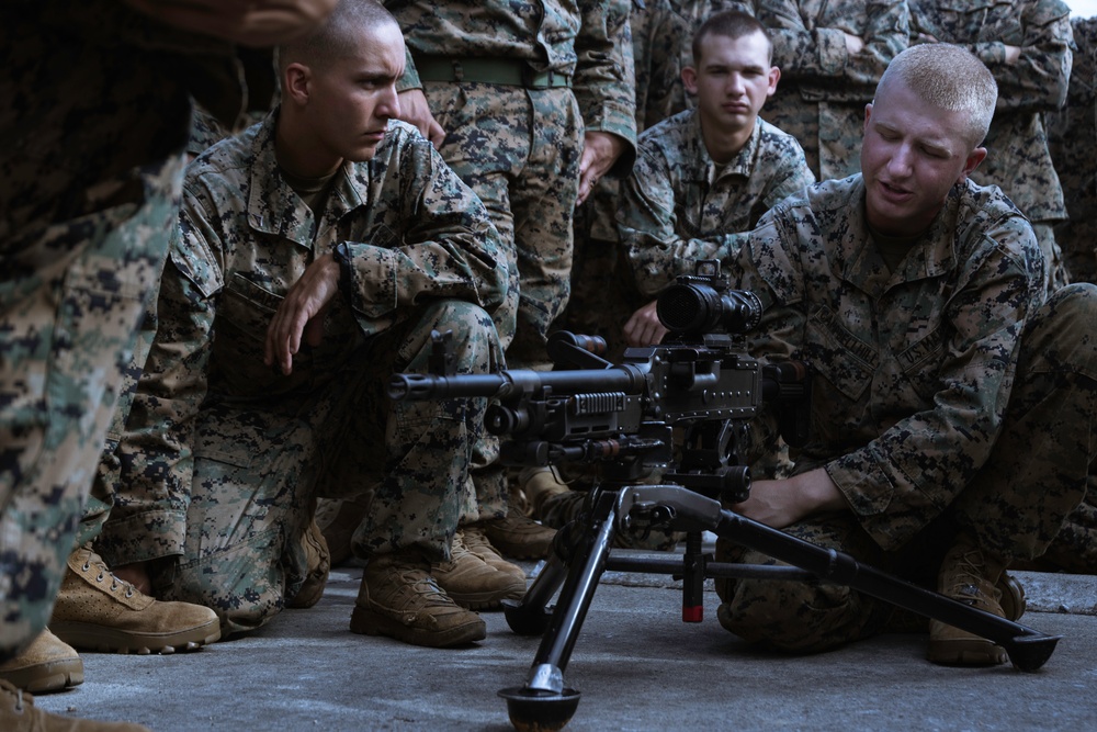 31st MEU | BLT 2/4 conducts unit level training