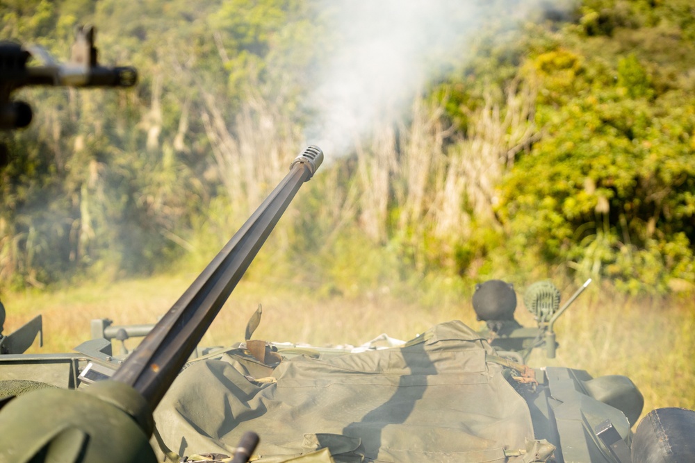 3rd Light Armored Reconnaissance Battalion conducts weapons field test