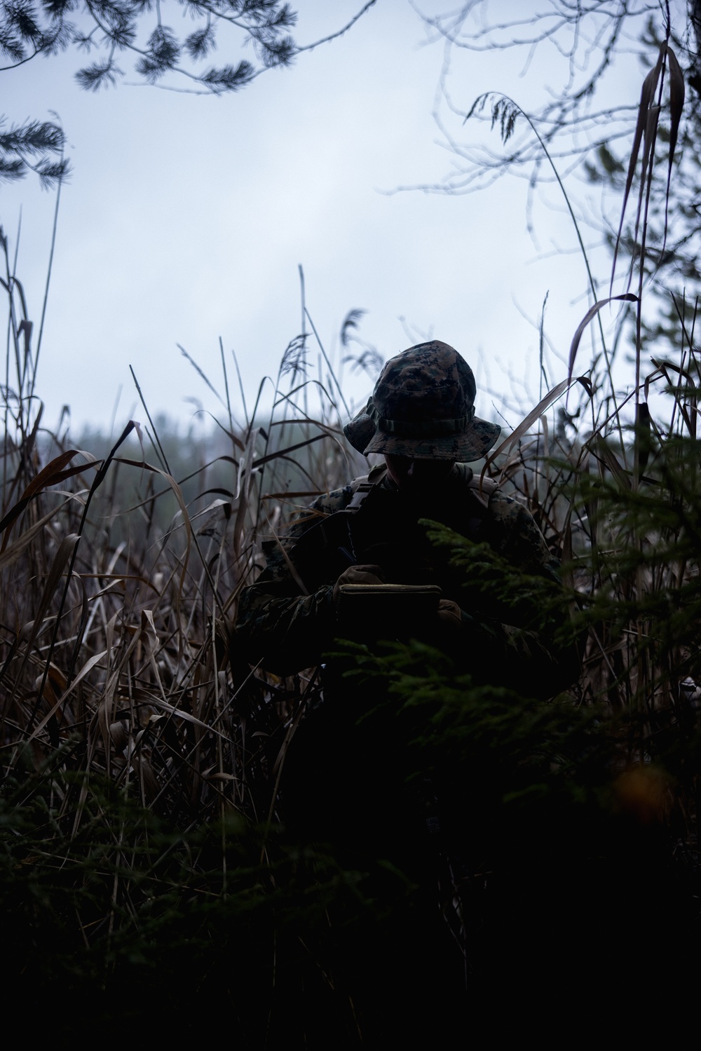 U.S. Marines Conduct a Force on Force Search and Destroy Exercise