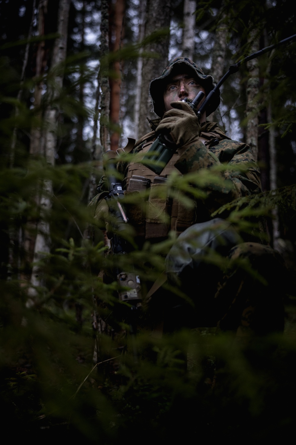 U.S. Marines Conduct a Force on Force Search and Destroy Exercise