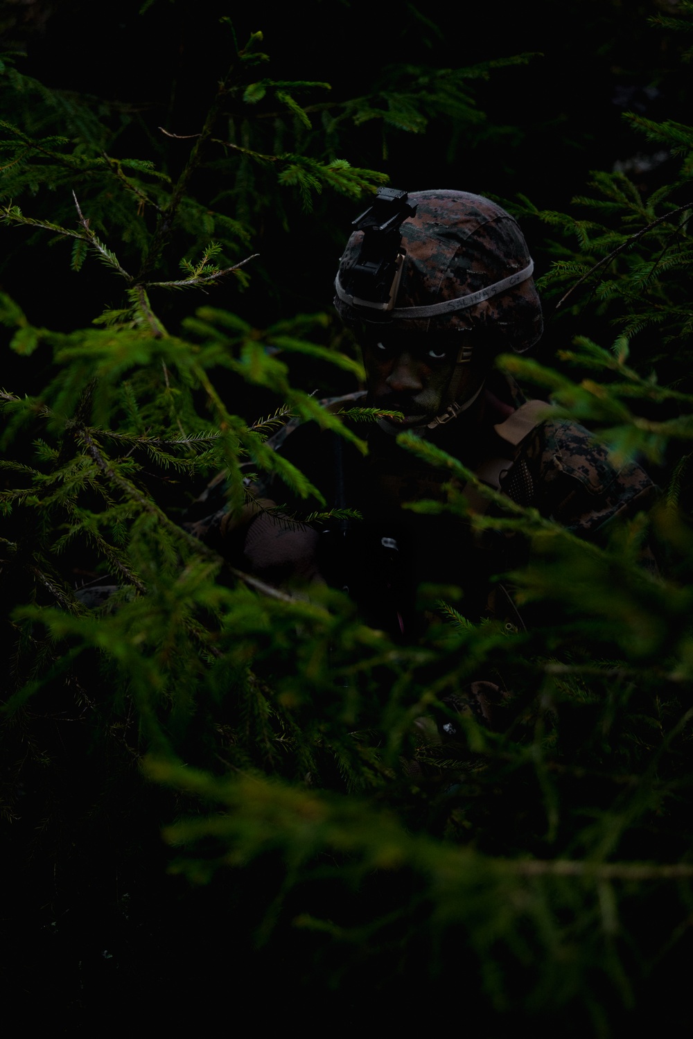 U.S. Marines Conduct a Force on Force Search and Destroy Exercise