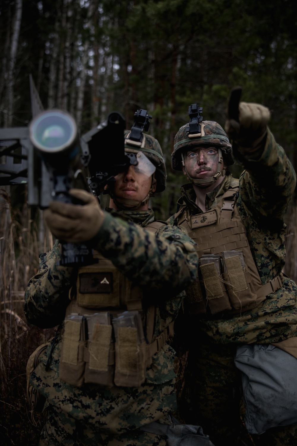 U.S. Marines Conduct a Force on Force Search and Destroy Exercise