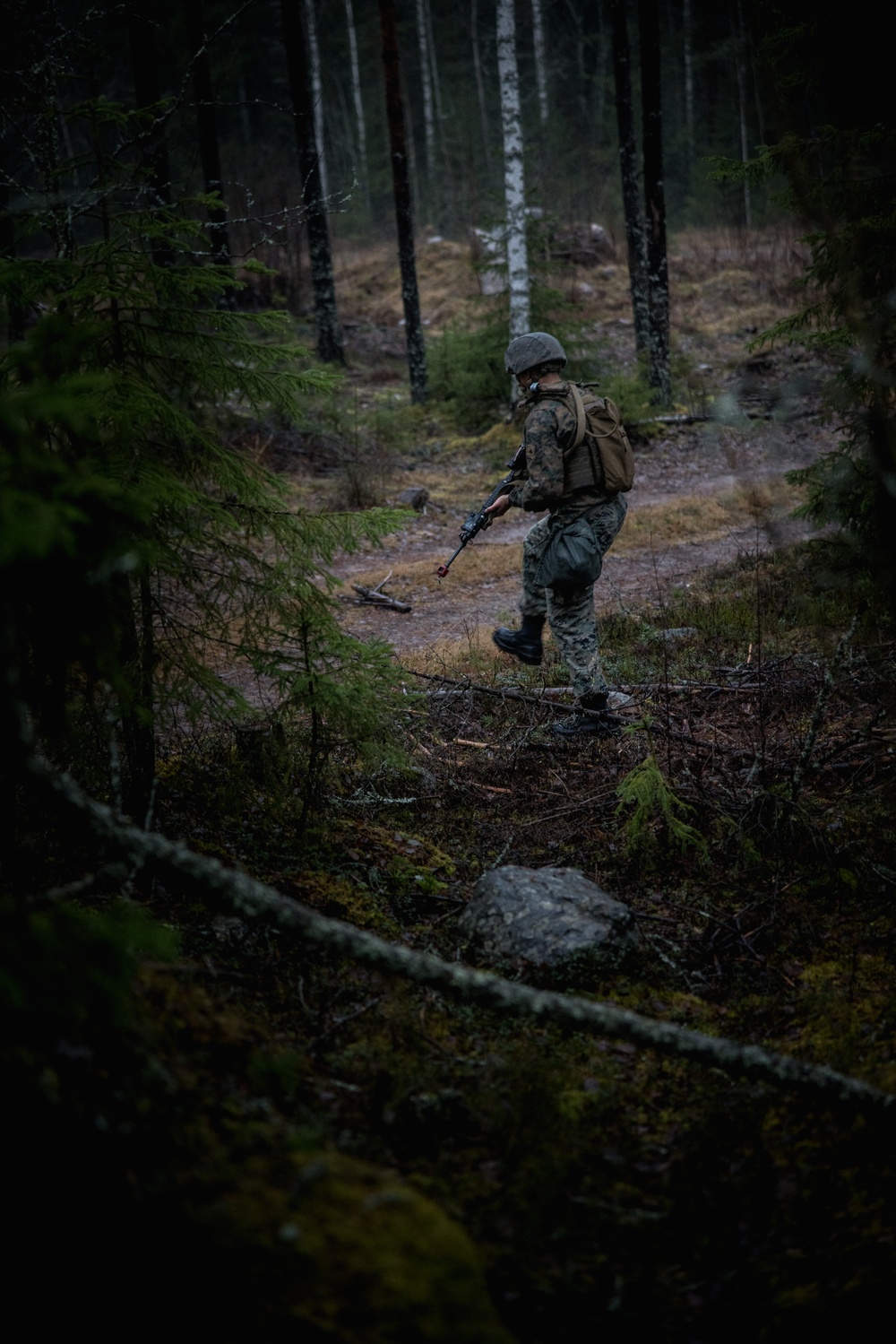 U.S. Marines Conduct a Force on Force Search and Destroy Exercise