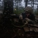 U.S. Marines Conduct a Force on Force Search and Destroy Exercise