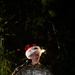 18th Military Police Brigade Hosts Annual Tree Lighting Ceremony