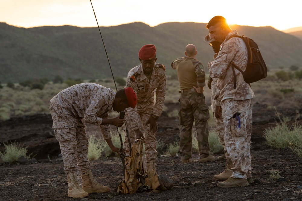 Bull Shark 25-1: Multinational Exercise Strengthens Regional Security and Collaboration