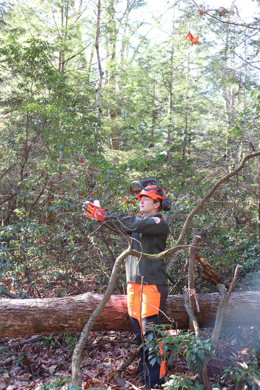 Games of Logging Chainsaw Safety Training at Barre Falls Dam