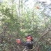 Games of Logging Chainsaw Safety Training at Barre Falls Dam