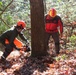 Games of Logging Chainsaw Safety Training at Barre Falls Dam