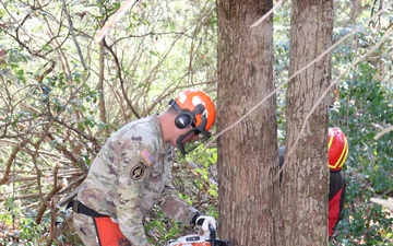 Games of Logging Chainsaw Safety Training at Barre Falls Dam