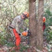 Games of Logging Chainsaw Safety Training at Barre Falls Dam