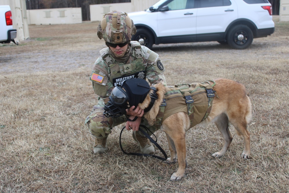 Fort Gregg-Adams hosts Military Working Dog training