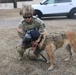 Fort Gregg-Adams hosts Military Working Dog training