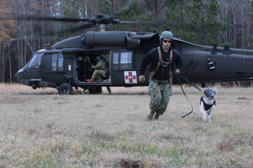 Fort Gregg-Adams hosts Military Working Dog training