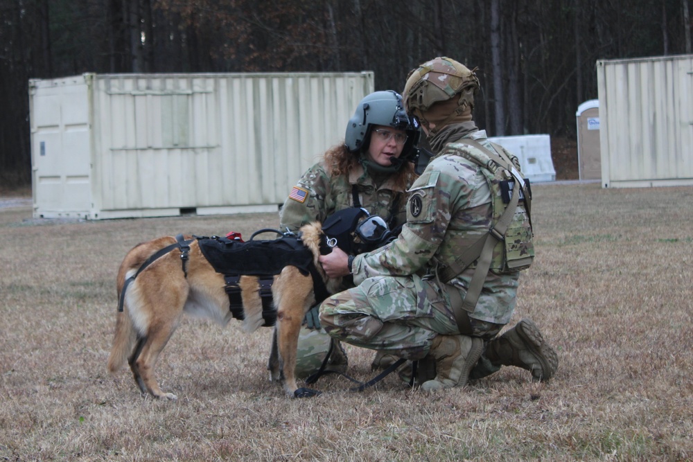 Fort Gregg-Adams hosts Military Working Dog training