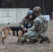 Fort Gregg-Adams hosts Military Working Dog training