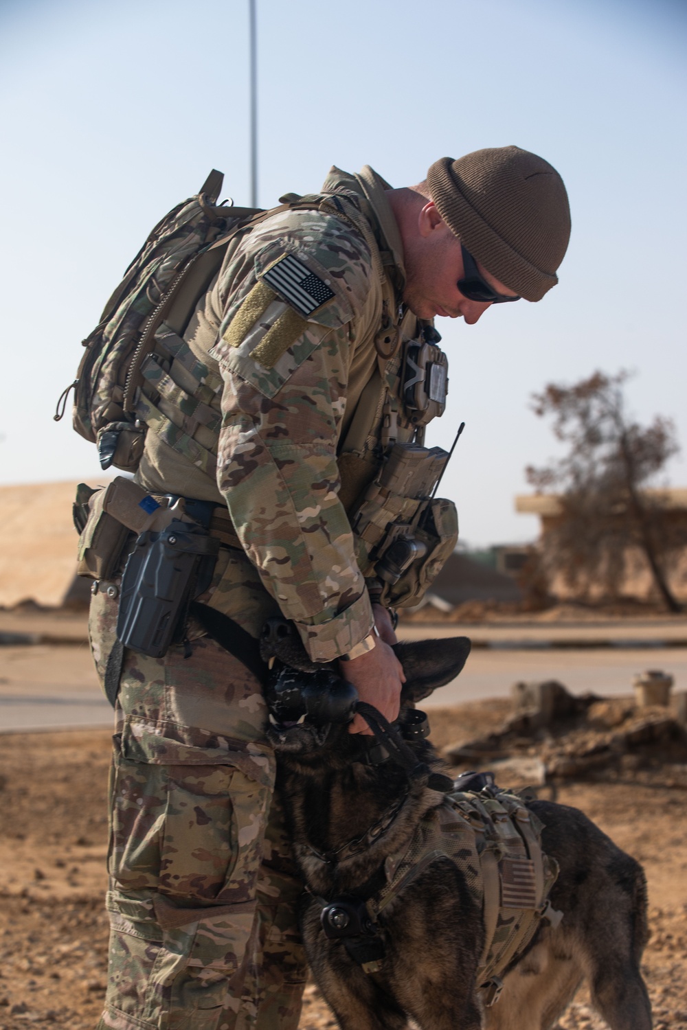 U.S. Army Soldiers and K-9 Team Enhance Security with Joint Training Exercise