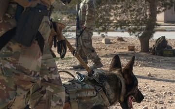 U.S. Army Soldiers and K-9 Team Enhance Security with Joint Training Exercise