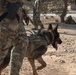 U.S. Army Soldiers and K-9 Team Enhance Security with Joint Training Exercise