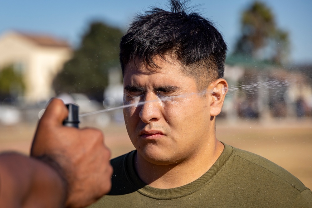 OC Spray SAF training on MCAS Miramar